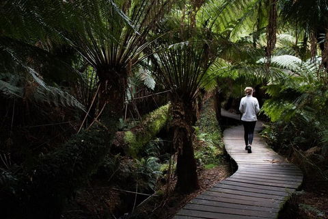 Private Tour Of Melbourne - Tourism Canberra 2