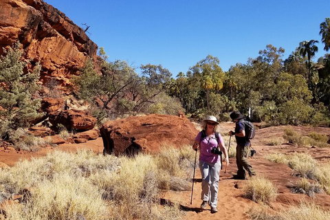 Palm Valley And Hermannsburg 1 Day 4WD Tour - Tourism Canberra 1