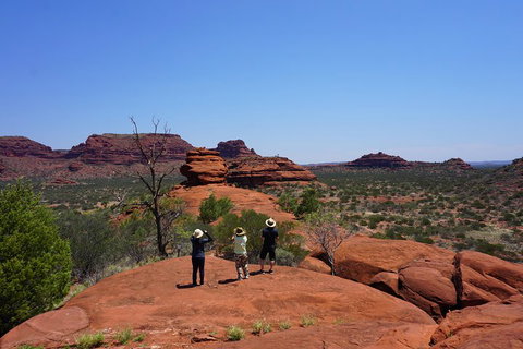 Palm Valley And Hermannsburg 1 Day 4WD Tour - Tourism Canberra 2