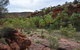 Palm Valley And Hermannsburg 1 Day 4WD Tour - thumb 4