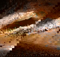 Windjana Explorer - Tourism Canberra