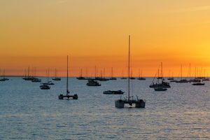 Darwin Shore Excursion: Hop-on Hop-off Bus Tour
