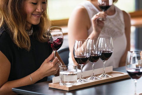 Adelaide Hills Regional / Hahndorf German Village Tour - Tourism Canberra 5