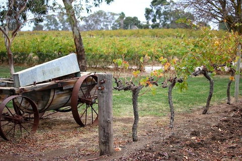 Maggie Beer Farm - Barossa Valley Regional Tour - Tourism Canberra 1