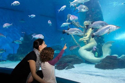 SEA LIFE Melbourne Aquarium Admission Ticket - Tourism Canberra 4