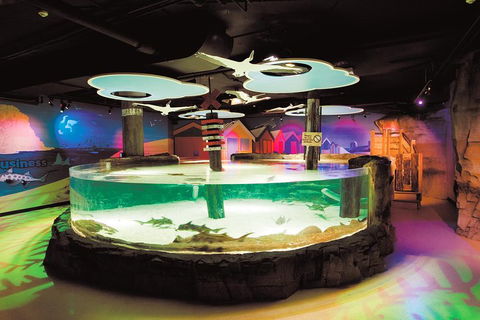 SEA LIFE Melbourne Aquarium Admission Ticket - Tourism Canberra 5
