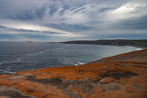 Kangaroo Island Luxury Small Group 'Flinders Chase Focus' Full Day Tour - Tourism Canberra 0
