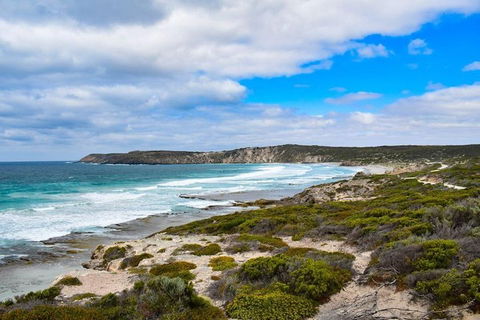 Kangaroo Island Luxury Small Group 'East End Explorer' Full Day Tour - Tourism Canberra 0