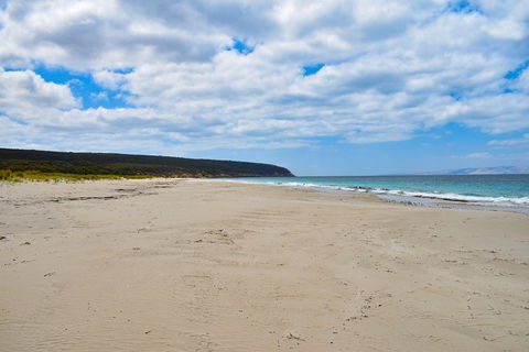 Kangaroo Island Luxury Small Group 'East End Explorer' Full Day Tour - Tourism Canberra 3