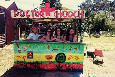 Byron Surrounds: Nimbin Waterfall Adventure - Swimming Tour - Tourism Canberra 5