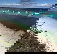 Experience Rottnest with Ferry  Bike Hire from Perth or Fremantle - Tourism Canberra