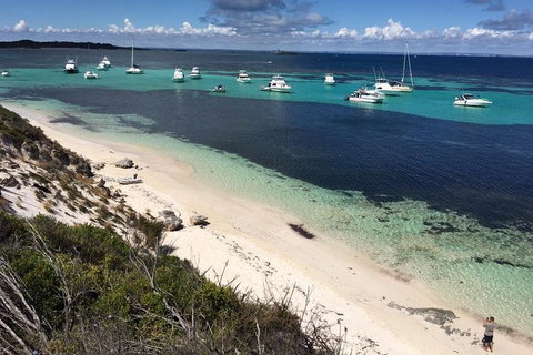 Experience Rottnest With Ferry & Bike Hire From Perth Or Fremantle - Tourism Canberra 0