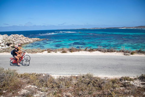 Experience Rottnest With Ferry & Bike Hire From Perth Or Fremantle - Tourism Canberra 2