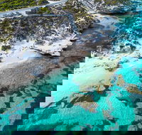 Rottnest Island Round-Trip Ferry from Perth or Fremantle - Tourism Canberra