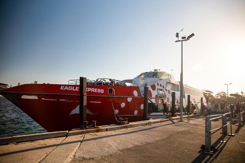 Rottnest Island Round-Trip Ferry From Perth Or Fremantle - Tourism Canberra 2