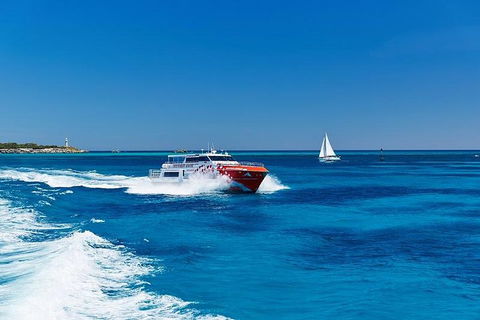 Rottnest Island Round-Trip Ferry From Perth Or Fremantle - Tourism Canberra 4