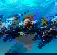 Great Barrier Reef Diving and Snorkeling Cruise from Cairns - Tourism Canberra