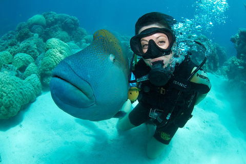 Great Barrier Reef Diving And Snorkeling Cruise From Cairns - Tourism Canberra 2