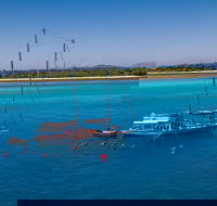 Ocean Free Green Island  Great Barrier Reef Snorkel Cruise Cairns 25 guests - Tourism Canberra