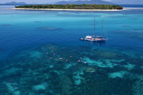 Ocean Free Green Island & Great Barrier Reef Snorkel Cruise, Cairns 25 Guests - Tourism Canberra 2