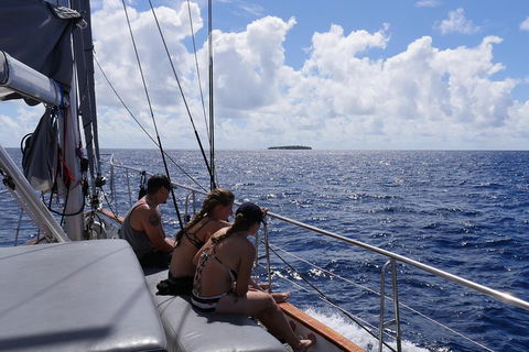 Ocean Free Green Island & Great Barrier Reef Snorkel Cruise, Cairns 25 Guests - Tourism Canberra 4