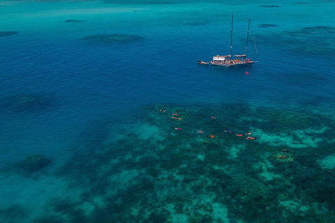 Ocean Free Green Island & Great Barrier Reef Snorkel Cruise, Cairns 25 Guests - Tourism Canberra 5