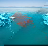 Ocean Freedom Great Barrier Reef Personal Luxury Snorkel  Dive Cruise Cairns - Tourism Canberra