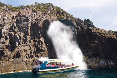 Full-Day Bruny Island Cruises Day Tour From Hobart - Tourism Canberra 4
