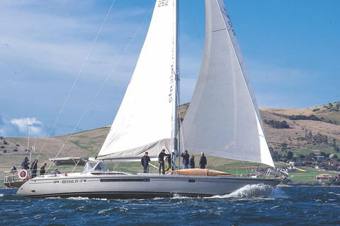 Half-Day Sailing On The Derwent River From Hobart - Tourism Canberra 1