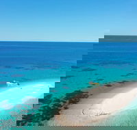 Ocean Safari Great Barrier Reef Experience in Cape Tribulation - Tourism Canberra