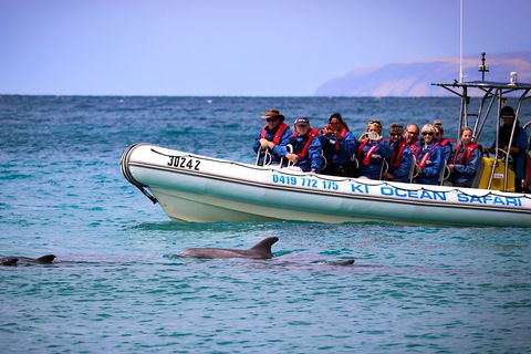 Kangaroo Island 75-Minute Ocean Safari - Tourism Canberra 4