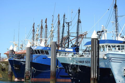 One Day Port Lincoln Tour - Tasting Eyre - Tourism Canberra 0