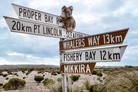 One Day Port Lincoln Tour - Tasting Eyre - Tourism Canberra 2