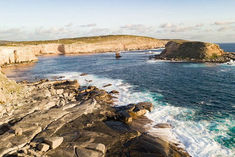 One Day Port Lincoln Tour - Tasting Eyre - Tourism Canberra 3