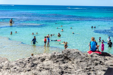 Rottnest Island Roundtrip Fast Ferry From Hillarys Boat Harbour - Tourism Canberra 1