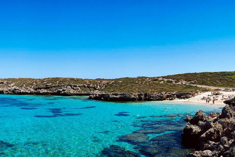 Rottnest Island Roundtrip Fast Ferry From Hillarys Boat Harbour - Tourism Canberra 4
