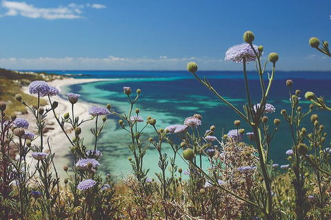 Rottnest Island Full-Day Trip With Guided Island Tour From Perth - Tourism Canberra 2