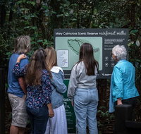 Sunshine Coast Hinterland and Noosa Day Trip from Brisbane Including Eumundi Markets and Ginger Factory - Tourism Canberra