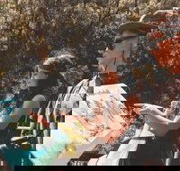 Springbrook andTamborine Rainforest Tour Incl Natural Bridge and Glow Worm Cave - Tourism Canberra