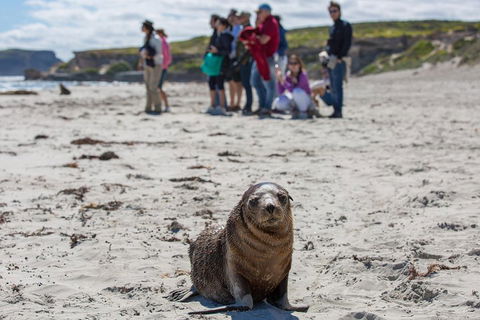 Kangaroo Island In A Day Tour From Adelaide - Tourism Canberra 0