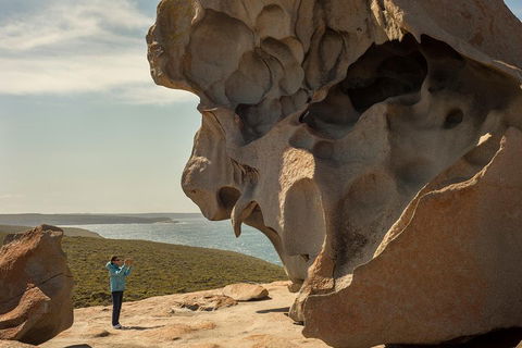 Kangaroo Island In A Day Tour From Adelaide - Tourism Canberra 5