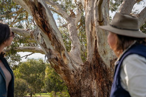 NEW TOUR - Kangaroo Island Road To Recovery Tour (1 Day/1 Night) - Tourism Canberra 0