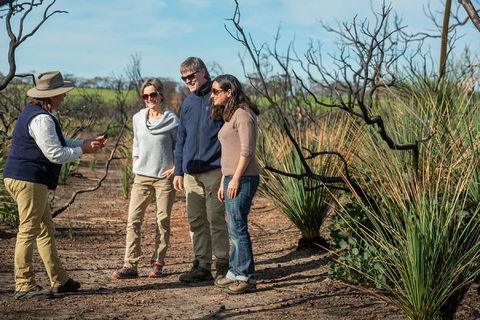 NEW TOUR - Kangaroo Island Road To Recovery Tour (1 Day/1 Night) - Tourism Canberra 4