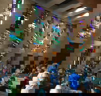 Cairns Shore Excursion Cairns City Sights  Surrounds Tour - Tourism Canberra