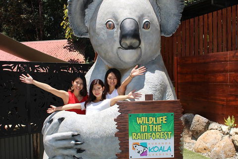 Kuranda Koala Gardens And Birdworld Admission Tickets - Tourism Canberra 3