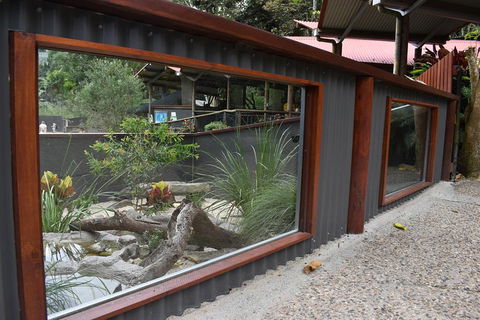 Kuranda Koala Gardens And Birdworld Admission Tickets - Tourism Canberra 4