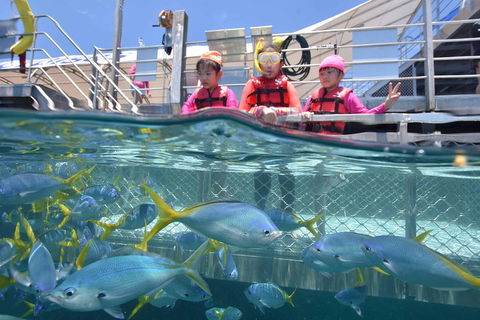 Outer Reef Pontoon Experience From Cairns - Tourism Canberra 0