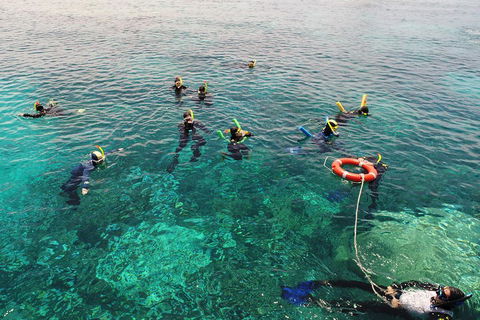Seastar Luxury Outer Great Barrier Reef Island And Reef Tour From Cairns - Tourism Canberra 2