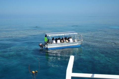 Seastar Luxury Outer Great Barrier Reef Island And Reef Tour From Cairns - Tourism Canberra 5
