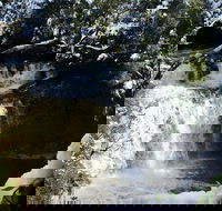 Cradle Mountain Day Tour from Launceston Including Lunch - Tourism Canberra